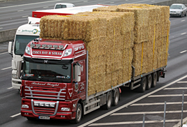 UKs biggest database of lorries